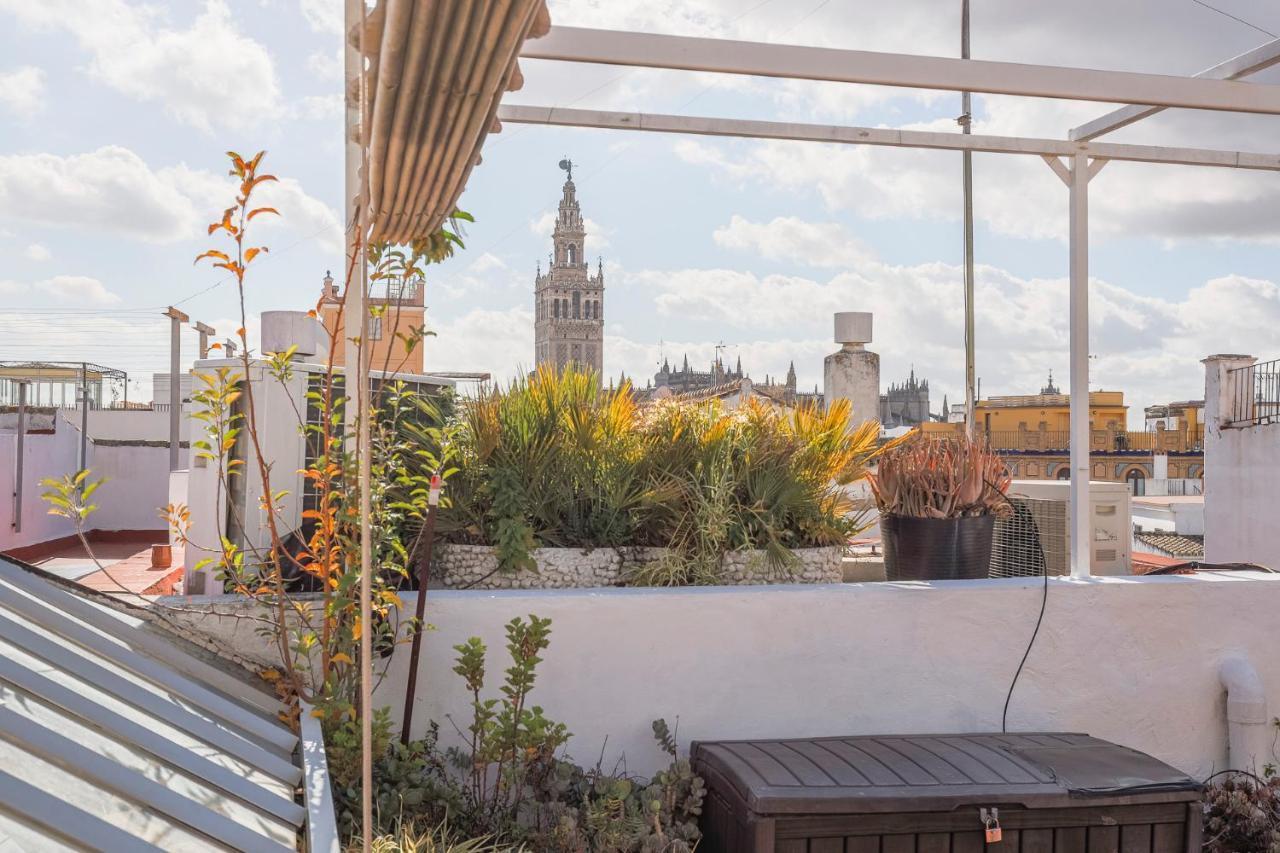 Apartamento San Isidoro 12 Nuevo *